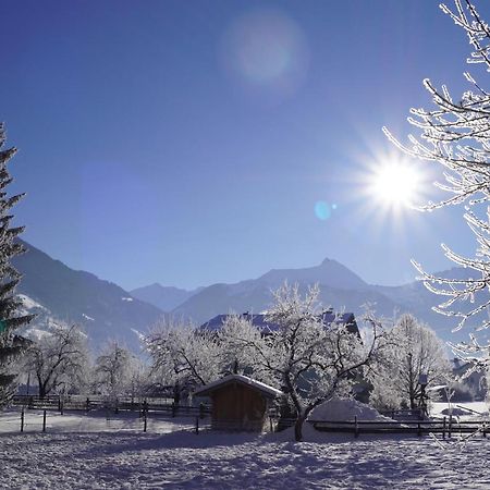 Haus Schwaiger Daire Bad Hofgastein Dış mekan fotoğraf