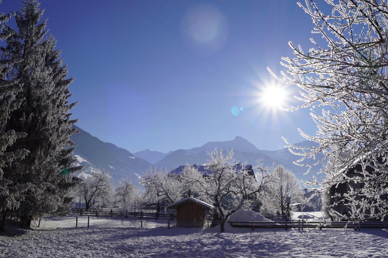 Haus Schwaiger Daire Bad Hofgastein Dış mekan fotoğraf