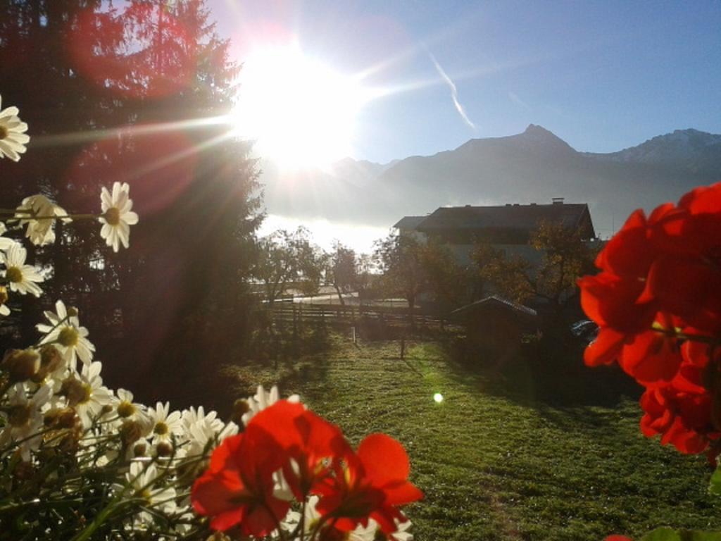 Haus Schwaiger Daire Bad Hofgastein Dış mekan fotoğraf