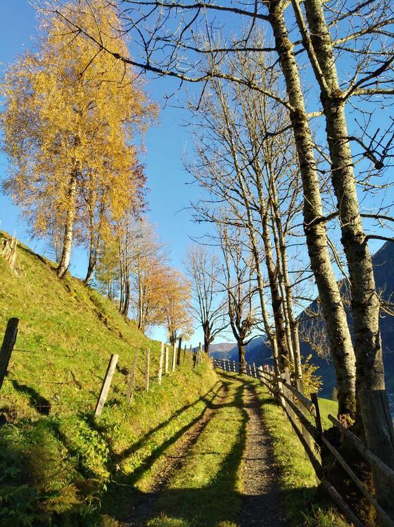 Haus Schwaiger Daire Bad Hofgastein Dış mekan fotoğraf