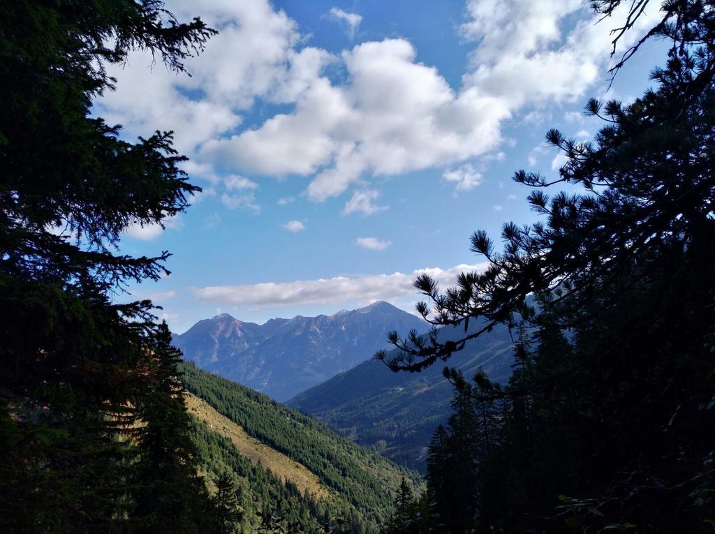 Haus Schwaiger Daire Bad Hofgastein Dış mekan fotoğraf