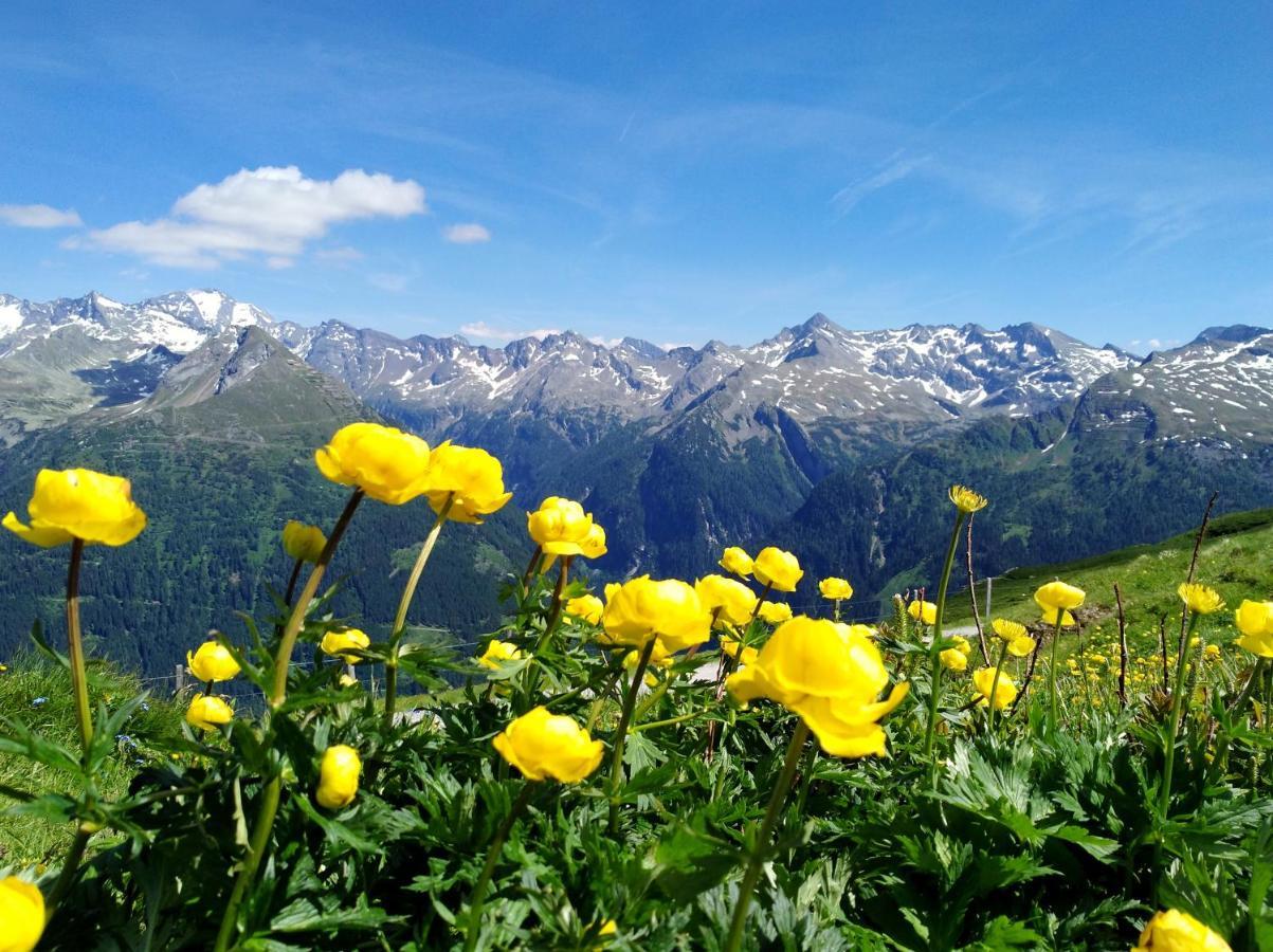 Haus Schwaiger Daire Bad Hofgastein Dış mekan fotoğraf